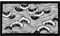 TJP102A.TIF