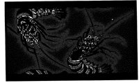 TJP083B.TIF