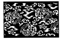 TJP079B.TIF