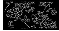 TJP028B.TIF