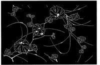 TJP022A.TIF