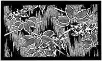 TJP012B.TIF