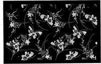 TJP009B.TIF