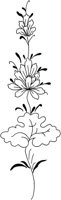 TKR043B.TIF