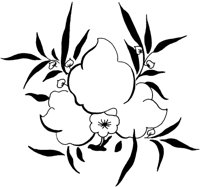 TKR043A.TIF