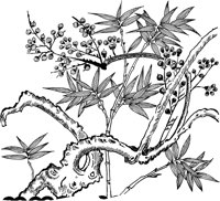 TKR039B.TIF