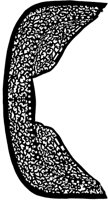 TKR009D.TIF