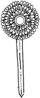 TKR007N.TIF