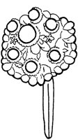 TKR007C.TIF