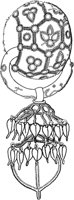 TKR006D.TIF