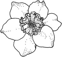 TFL077C.TIF