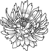 TFL077B.TIF
