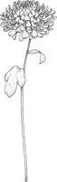 TFL072B.TIF