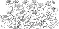 TFL069A.TIF