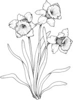 TFL068B.TIF