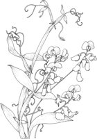 TFL067A.TIF