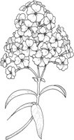 TFL065A.TIF
