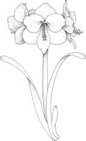 TFL062A.TIF
