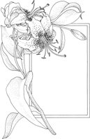 TFL055A.TIF