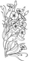 TFL054B.TIF