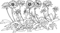 TFL054A.TIF