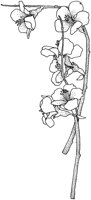 TFL053B.TIF