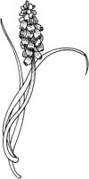 TFL052B.TIF