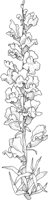 TFL051A.TIF