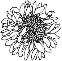 TFL048D.TIF