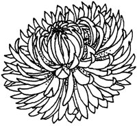 TFL048B.TIF