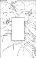 TFL047A.TIF