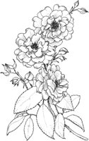 TFL046A.TIF