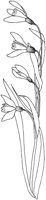 TFL045C.TIF
