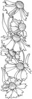 TFL045B.TIF