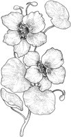 TFL037B.TIF