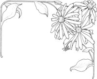 TFL032A.TIF