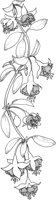 TFL027A.TIF