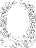 TFL026A.TIF
