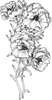 TFL024A.TIF