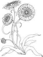 TFL022A.TIF
