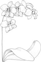TFL014A.TIF