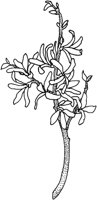 TFL012D.TIF