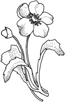 TFL012B.TIF