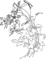 TFL009A.TIF