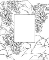 TFL008A.TIF
