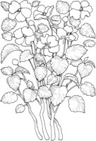 TFL004B.TIF