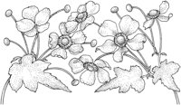 TFL003A.TIF