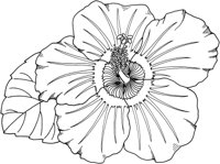 TFW025B.TIF
