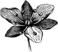 VFL104D.TIF