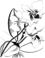 VFL104C.TIF